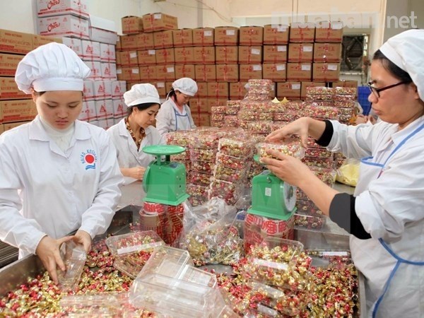 lĩnh vực hoạt động